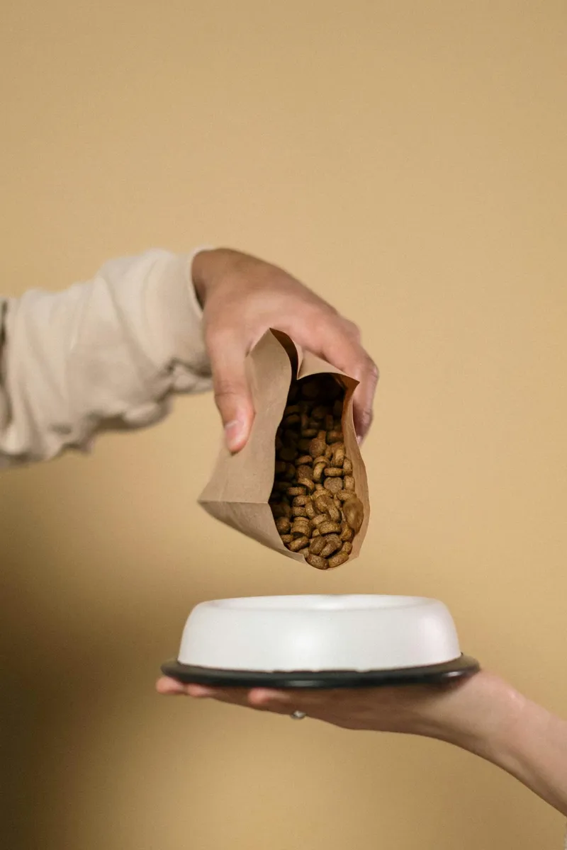Pouring dog food into a bowl